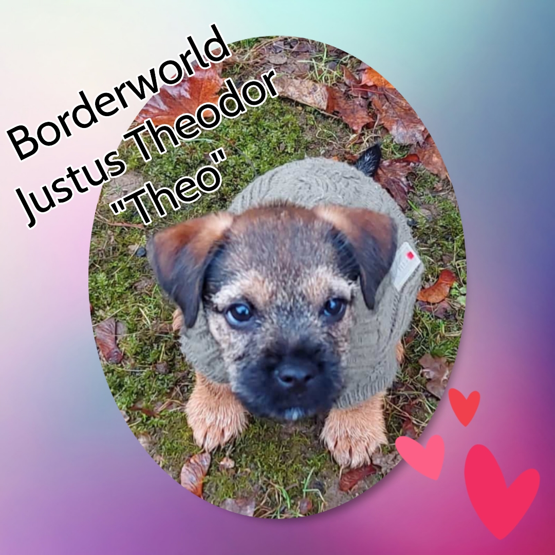 Borderworld Justus Theodor